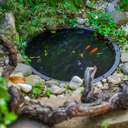 Le Jardin Des Oiseaux Apartment